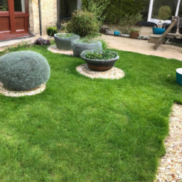 Techniques de taille pour maintenir un jardin esthétique et en bonne santé Le Perreux-sur-Marne